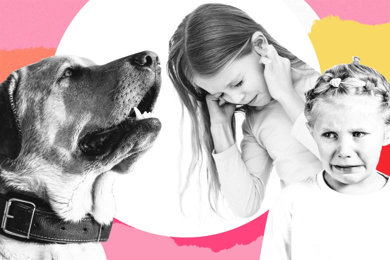 A hostile dog and terrified kids